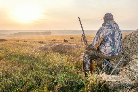 Hunting