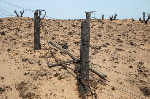The scorched landscape
