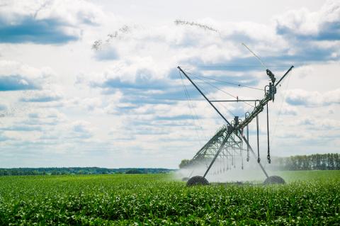Irrigation