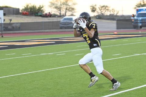 JV