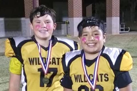Junior Cats