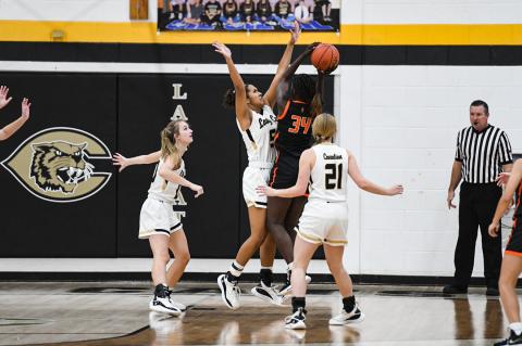 Lady Cats