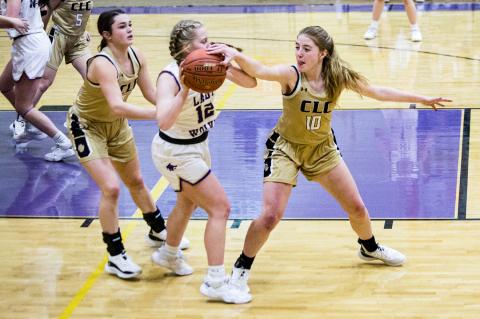 Lady Cats