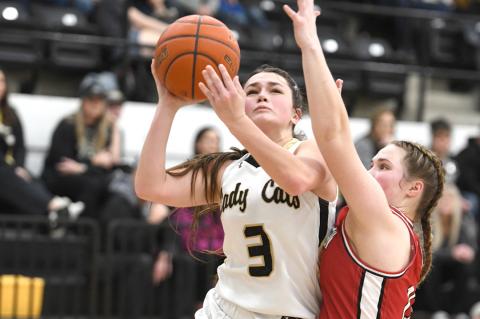 Berkley Beedy (3) puts up a short jumper against a tough Wellington defense