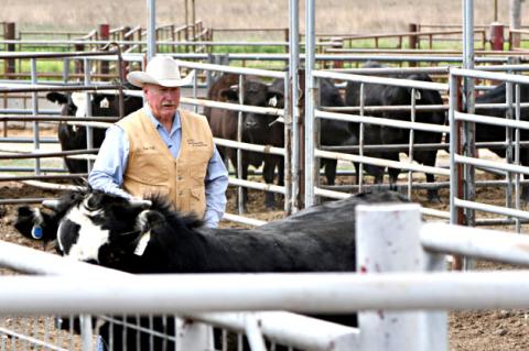 Ron Gill, Ph.D., Texas A&M AgriLife Extension specialist, College Station