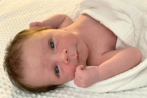 David Nathaniel Tubb