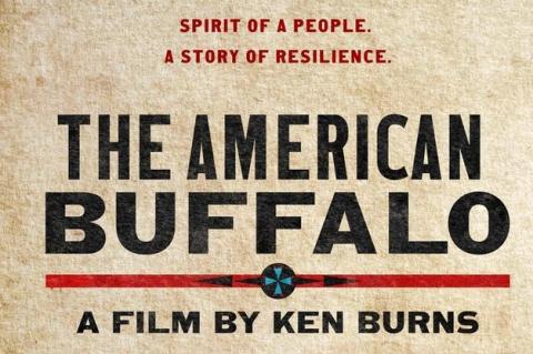 The American Buffalo