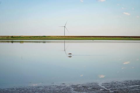 Playa lake image 02