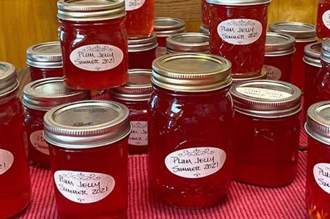 Wild Plum Jelly