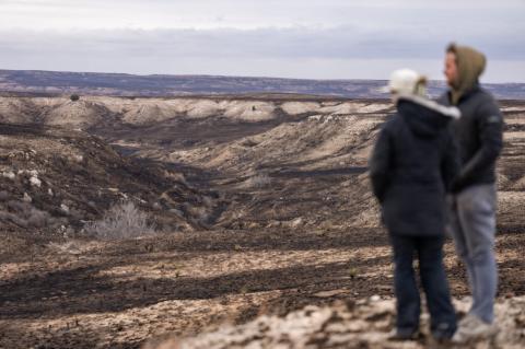 In the wake of disasters like the massive fires in the Texas Panhandle, family and friends are encouraged to watch one another for signs of mental health stress and struggles. (Texas A&M AgriLife photo by Sam Craft) 
