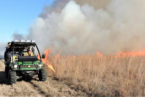 Morgan Treadwell, Ph.D., Texas A&M AgriLife Extension Service rangeland specialist, San Angelo, lights part of a 1,000-acre prescribed burn of tall prairie grass near Fort Worth. 