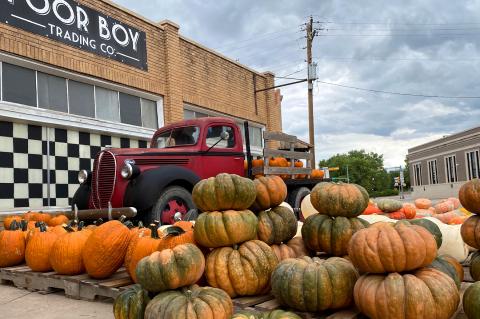 Pumpkin Patch