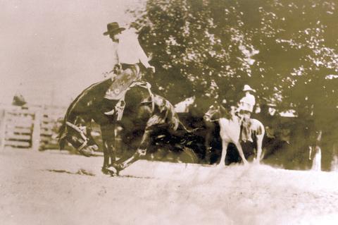 Photo from the RVPM archives: “The First Rodeo”