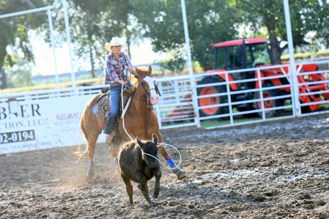 Rodeo