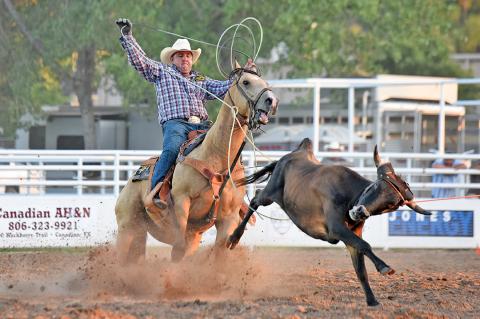 Rodeo