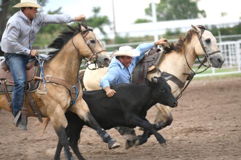 Steer wrestling