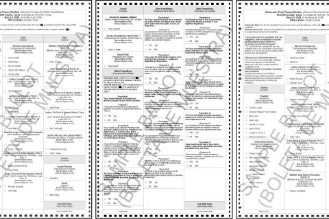 Hemphill County Primary Election Sample Ballots
