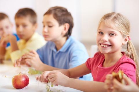 School Lunches
