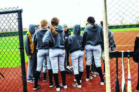 Lady Cat Softball