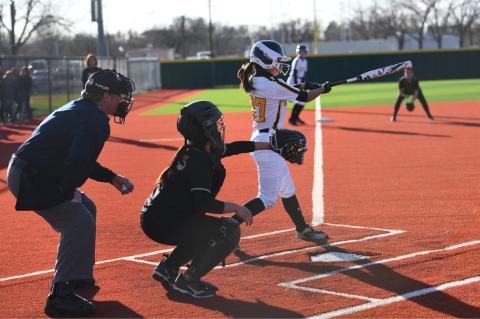 Lady Cat Softball