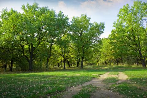Park