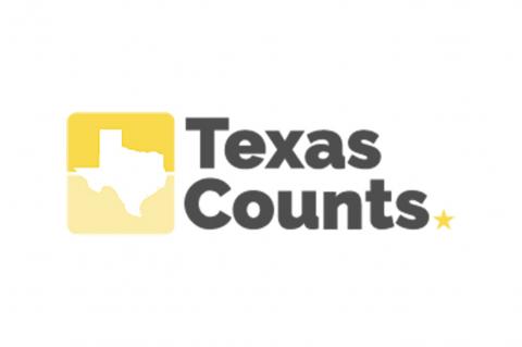 Texas Counts