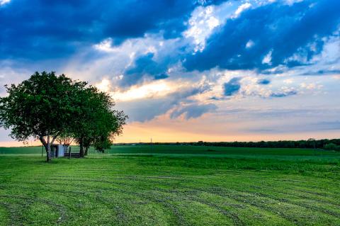 Texas Land
