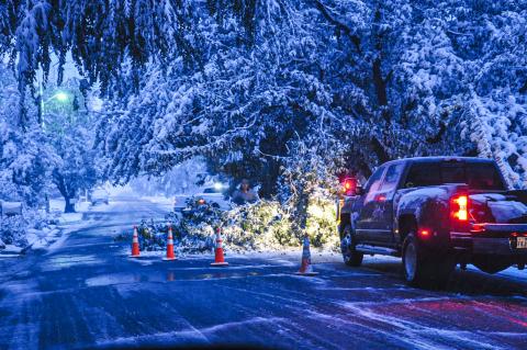 The branches of trees along Sixth Street succumbed to the weight of the heavy, wet snow that fell most of the day Thursday. 