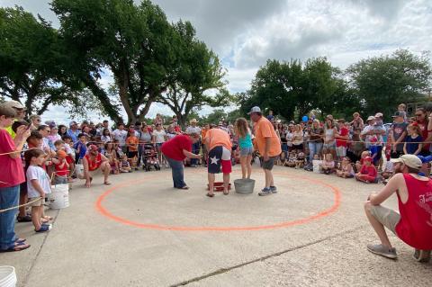 Turtle Race