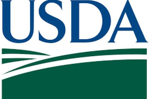USDA/FSA PROGRAMS