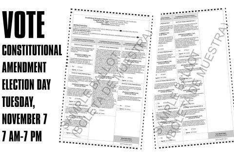 Vote November 7
