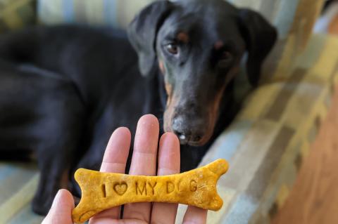 Peanut Butter Dog Treats