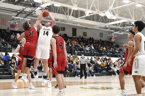 Wildcat Basketball