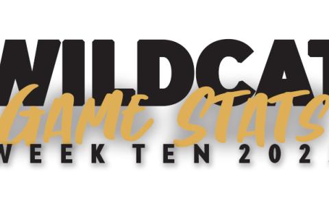 Wildcat Game Stats 2025