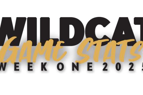 Wildcat Game Stats