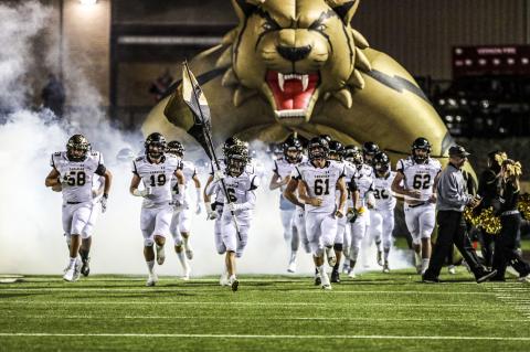 As season closes, Wildcats collect individual district, state honors