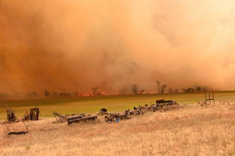 Wildfire