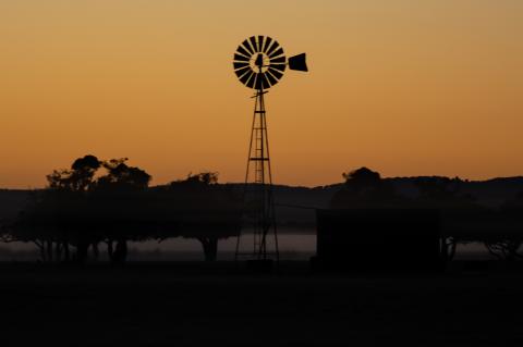 Windmill