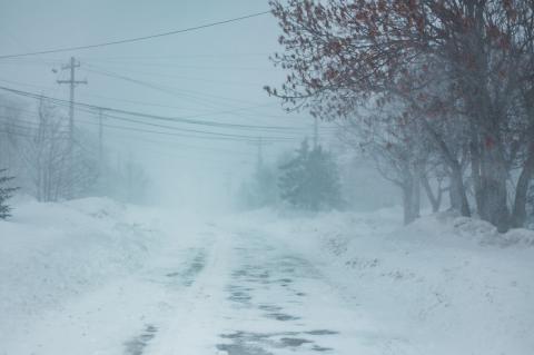 Winter Storm