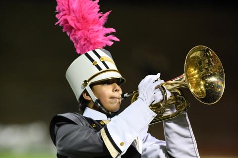 Wildcat Band