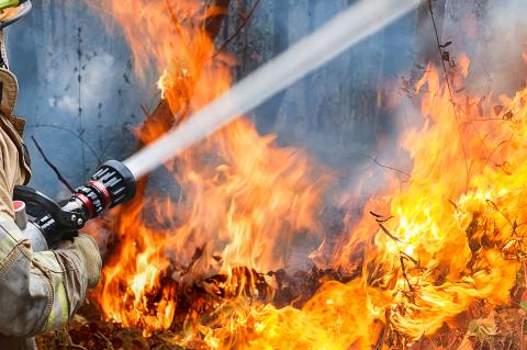 Firefighters battle wildfire