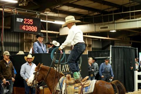 Rankin and Dollar at the Shawnee Horse Sale