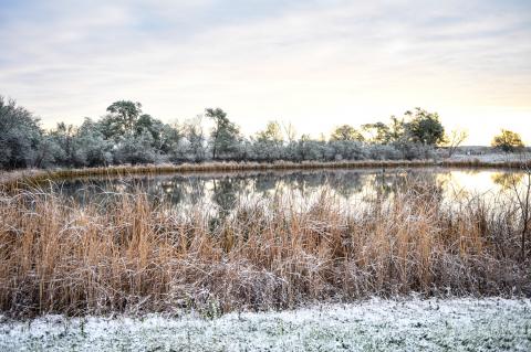 Tuesday morning snow