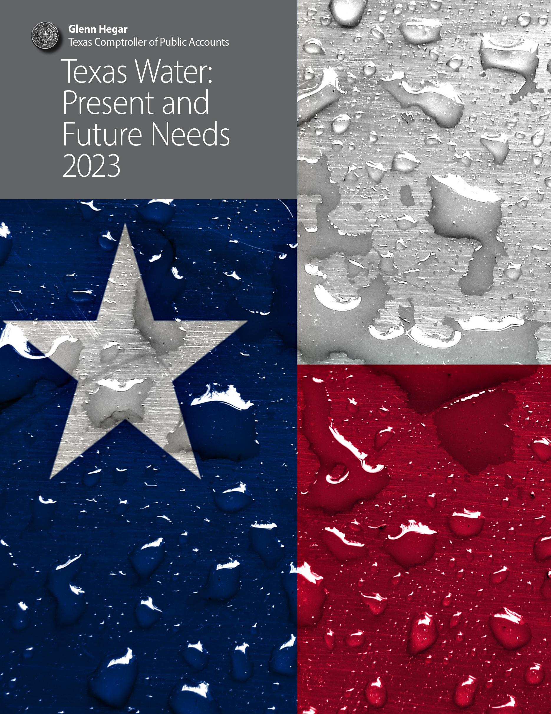 Texas Water: Present and Future Needs 2023