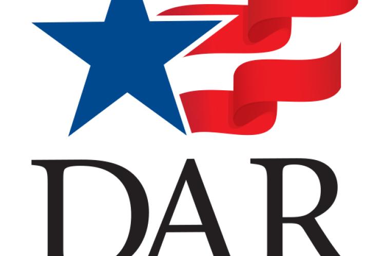 Texas DAR logo
