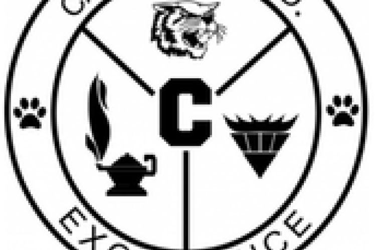 Canadian ISD Logo