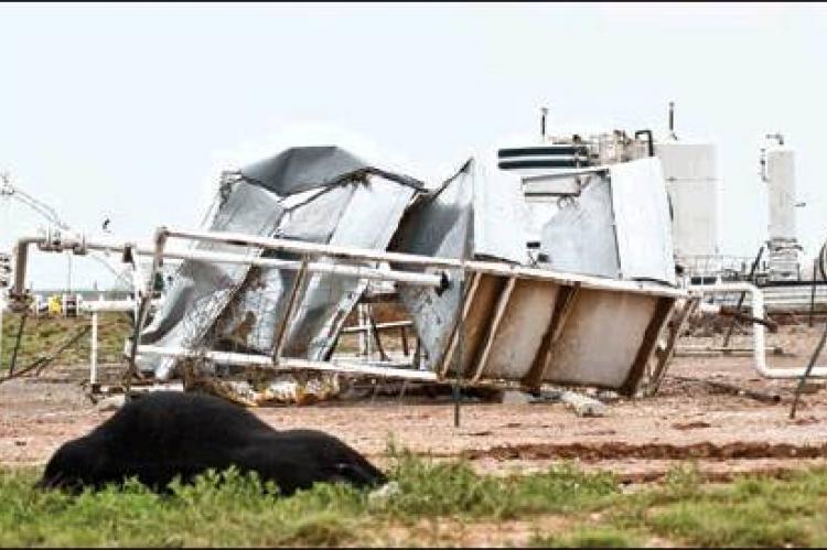 Oilfield workers were hard at work at this location Friday afternoon, hauling off debris, like this FourPoint production unit, and the carcasses of dead livestock that appeared in the storm’s aftermath (photo above). Even Panhandle-hardened, wind-tempered trees were transformed by the tornado’s random rage.