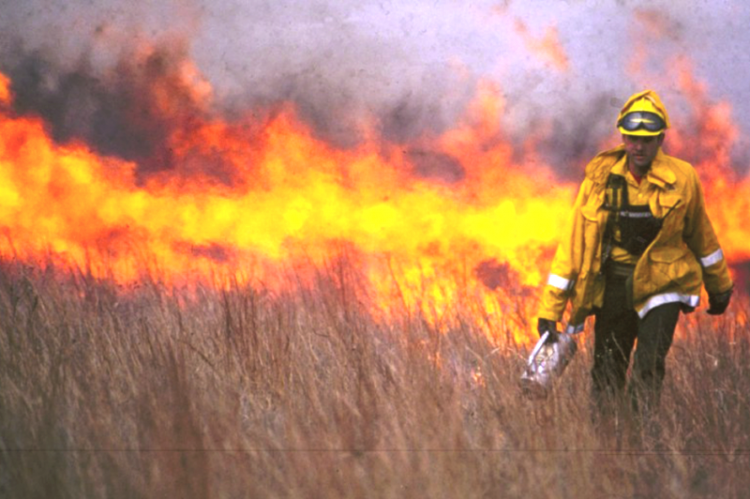 For ranchers that prefer to use prescribed burns to reduce fuel that feeds a fire, the Texas A&amp;M Forest Service recommends the use of a certified prescribed burn manager to oversee this method.