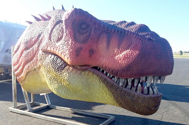 An animatronic Tyrannosaurus Rex head awaiting installation at the new DHDC Outdoor Park.