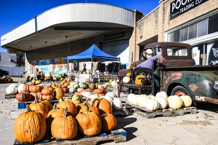 Keeping Downtown Festive: It’s pumpkin time at Poor Boys on 2nd Street, and a freshly-painted mural by Susan Graves Roberson adorns the Brainard Building.